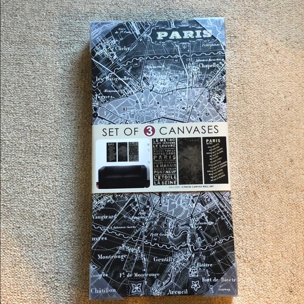 3 pieces canvas wall art of Paris